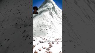 Why mountain Everest is covered in poop?