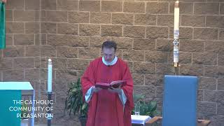 Daily Mass Live Stream - July 25, 2024: Feast of Saint James, Apostle