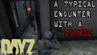 A Typical Encounter with a Zombie (DayZ)