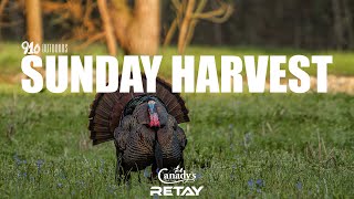 Turkey Hunting - "Sunday Harvest" - 910 Outdoors