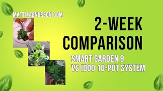 2 Week Comparison: iDOO 10 Pot Hydroponic System vs Click and Grow Smart Garden 9: MattMagnusson.com