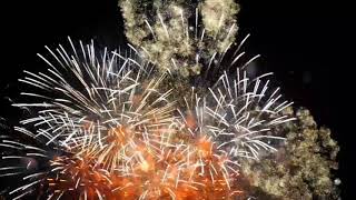 Watch 2021New Zealand Fireworks Display | New year Celebration 2021