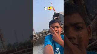 🕊️😛 subscribe #trending #kabutar #shorts #ytshorts #pigeon #kabootar #video