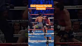 Cách Maquez hạ gục Manny Pacquiao #boxing #boxingtraining #boxingworkout #boxinglife #boxingday