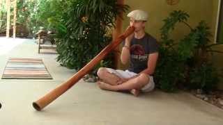 "Smoke Signals" Eucalyptus Didgeridoo by Roper Allanson