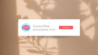 Curious Mind Live Stream