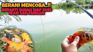 PANEN REJEKI NOMPLOK!!! NEMU SPOT IKANNYA SAK TANGAN TANGAN || MANCING IKAN REDDEVIL NAHOL MANIA