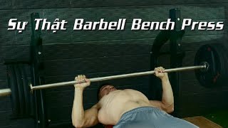 Ảo tưởng về bài tập NGỰC BARBELL BENCH PRESS | 3 Chấn thương phổ biến khi tập Ngực với Barbell