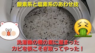 洗濯機に溜まったカビを酸素系と塩素系のあわせ技で根こそぎ取ってやった！