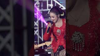 Niken Salindry - Rasah Nyangkem 3 #shorts  #dangdutkoplo #dangdutterbaru