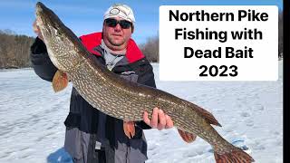 Northern Pike Ice Fishing @ Pinnacle Pursuit Outdoors