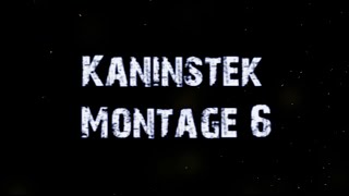 Kaninstek Montage 6