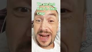 We are just All Rats in Cage in the USA! #inflation #influencer #influencers #economy #jobs #job