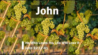 He Who Loves His Life Will Lose It (John 12:17-41)