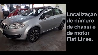 Localização de número de chassi e de motor do Fiat Linea 2014.