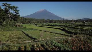 Bali Bagus Drone Scenery & Landscapes