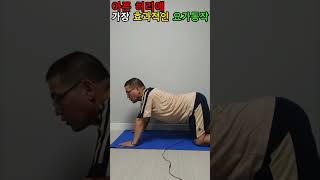 허리 환자가 아침에 하면 좋은 가장 효과적인 요가동작#shorts