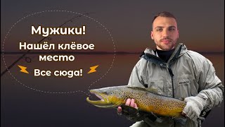 Атмосферные герои! Рейтинговые битвы! l 31.05.2024