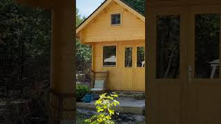 Building off-grid cabin in the woods pt.9 #cabinbuild