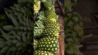 #shortvideo Lokal Fruits Nenas Md2 From Malaysia Sweet & Juice😊😊