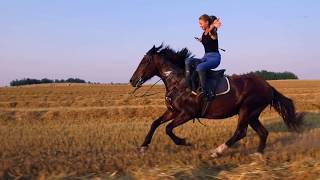 Красивая езда на лошади в дамском седле / Beautiful leap in the side saddle