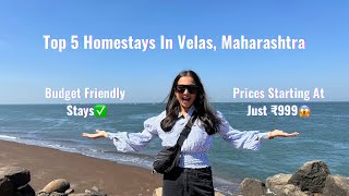 Top 5 HOMESTAYS in Velas 😍| AFFORDABLE PRICE | Under 1,000/- per person🤯| Velas Turtle Festival🐢