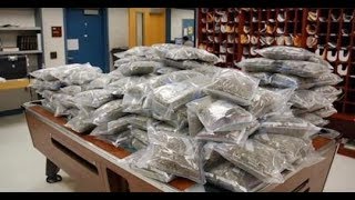 Cops Claim That Mice Ate Half A Ton Of Missing Marijuana | International News