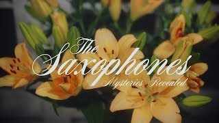 The Saxophones - Mysteries Revealed [Official Video]