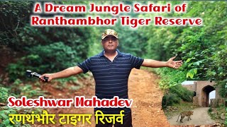 रणथंभौर टाईगर रिजर्व का घना जंगल || Ranthambhor tiger riserve || soleshwar mahadev tour