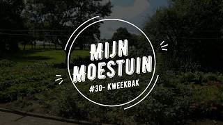 #30-Moestuin beginnen, kweekbak