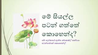 මේ සියල්ල පටන් ගත්තේ කොහෙන්ද? - Where did we begin?