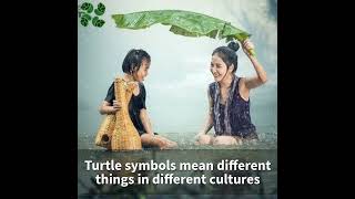 Turtle Symbol