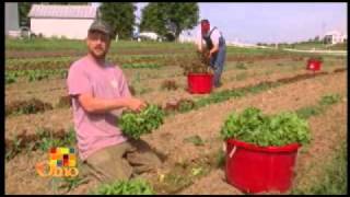 Community Supported Agriculture