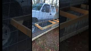 Chicken Coop  #chicken #chickencoop #diy #shorts #farming