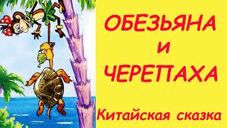 Обезьяна и черепаха. Аудиосказки с картинками. Китайская сказка