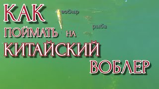 КАК РАЗЛОВИТЬ КИТАЙСКИЙ ВОБЛЕР? РЫБА СПОСОБНА ЗАПОМНИТЬ ПРИМАНКУ, КИТАЙСКИЕ ВОБЛЕРА КОТОРЫЕ ЛОВЯТ!