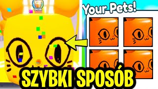 SEKRETNY SPOSÓB NA NIESKOŃCZONOŚĆ HUGE ORANGE BALLOON CATÓW W AUTUMN EVENT W PET SIMULATOR X