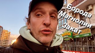 VLOG Нидерландский гость / БОРОда / Всё цветёт / Закат на Круче