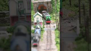 J94 Runs The Whole Layout #ngauge #gardenrailway #modelrailways #railway #shorts