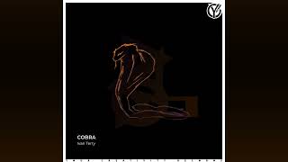 Ivan Terry - Cobra [FULL TECHNO ALBUM] 2023