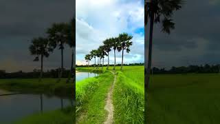 গ্রাম বাংলা | View | Khairul Hasan Shuvoo | KHS                                          #travel