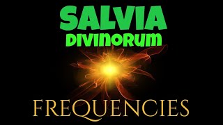 SALVIA DIVINORUM FREQUENCIES EXPERIENCE REPORT STORY VIBRATION VIBE hallucinations ORBS SOUNDS