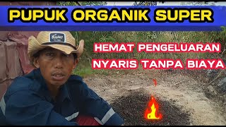 Kombinasi ARANG SEKAM dan PUPUK KANDANG percepat kesuburan tanaman