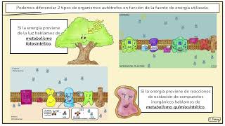 01. Introducción al anabolismo