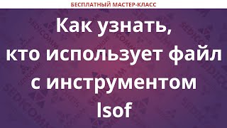 Как узнать, кто использует файл с инструментом lsof