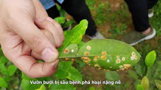 Chuyến field trip cuối cùng của lớp K60KHCTT - Thanh Sơn, Phú Thọ