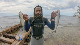 Good Catch While Hunting In Murky Water Catch, Cook & Clean