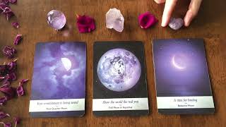 Full moon in Aquarius ♒️ Supermoon🌝 What are you releasing?🔮Pick A Card | Timeless