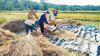 Profil Dusun Munjul, Desa Wilanagara, Kec. Luragung, Kuningan, Jawa Barat