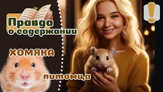 20 фактов о ХОМЯКАХ, что нужно знать, прежде чем его завести.